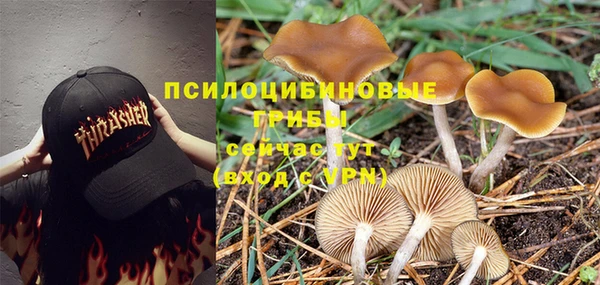 молекула духа Пролетарск