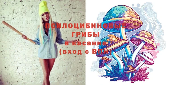 прущие крисы Приозерск