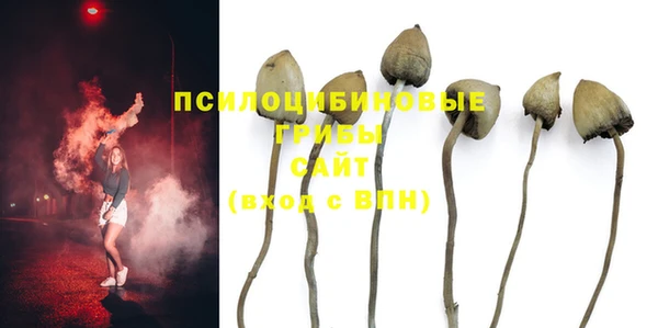 прущие крисы Приозерск