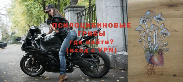 молекула духа Пролетарск