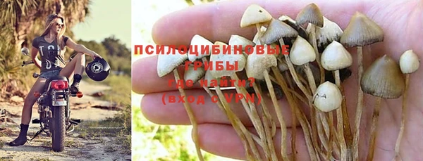 молекула духа Пролетарск