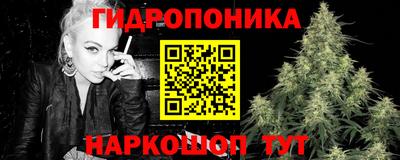 гидра Бийск
