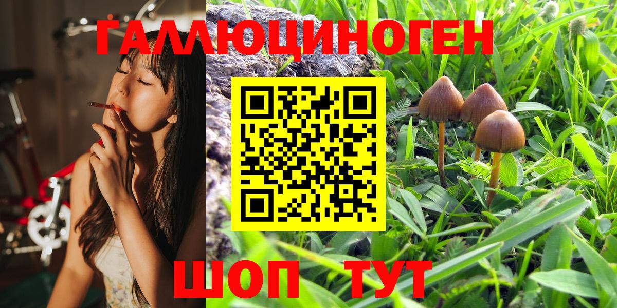 Псилоцибиновые грибы ЛСД  Великие Луки  Галлюциногенные грибы прущие грибы 